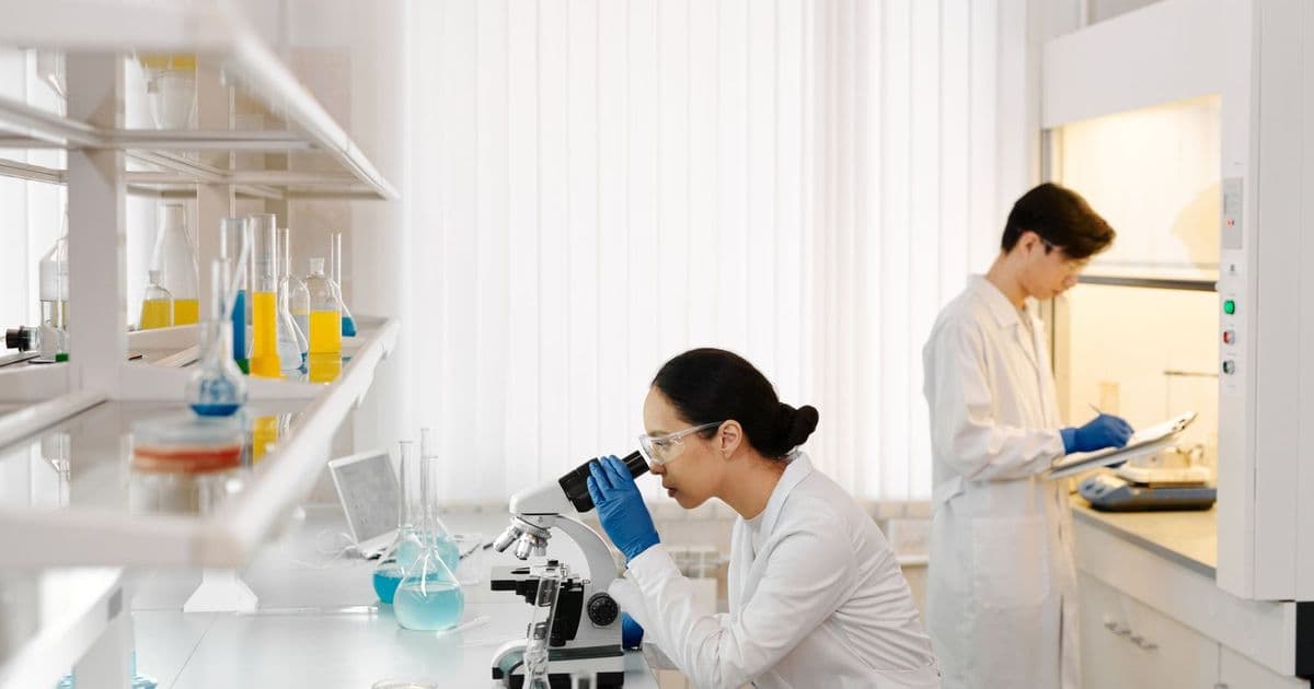 Deux scientifiques travaillent dans un laboratoire